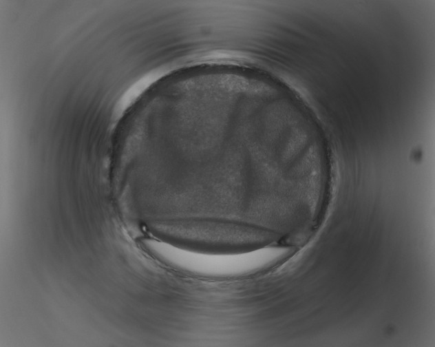 X0000116591066200912312031