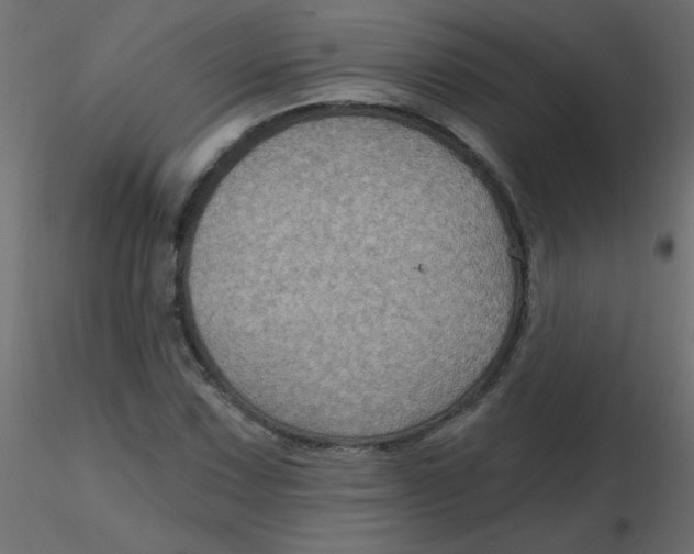 X0000116591067200912312031