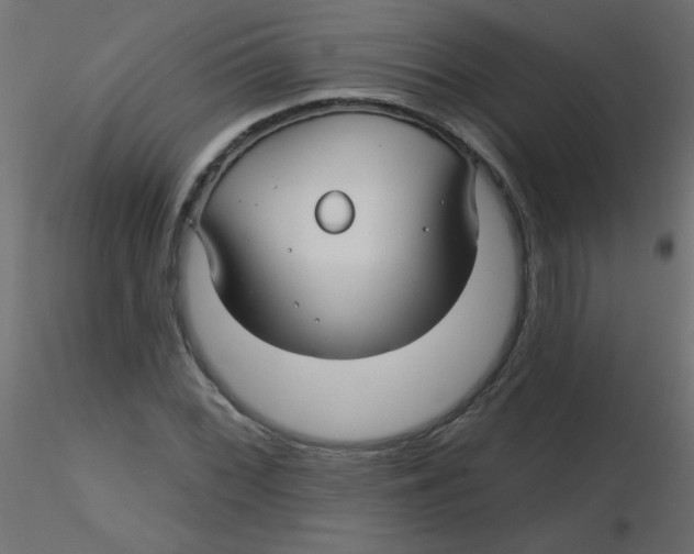 X0000116591068200912312031