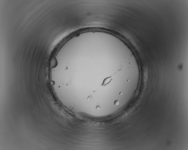 X0000116591069200912312031