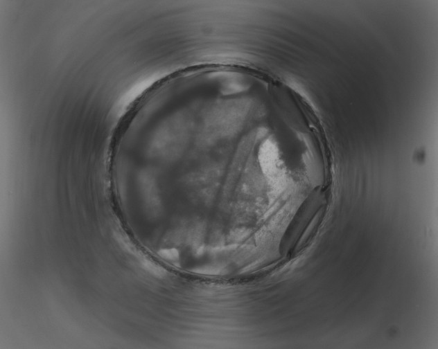 X0000116591071200912312031