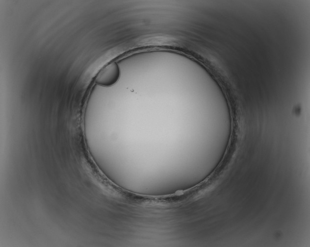 X0000116591073200912312031