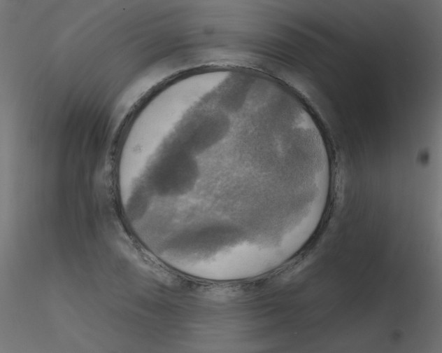 X0000116591074200912312031