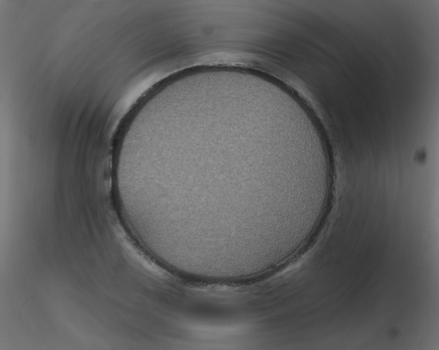 X0000116591075200912312031