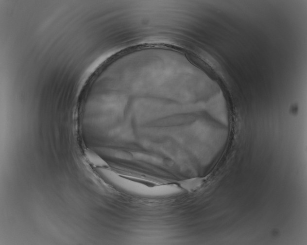 X0000116591076200912312031