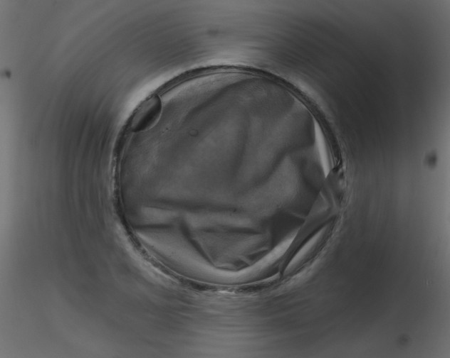 X0000116591077200912312031