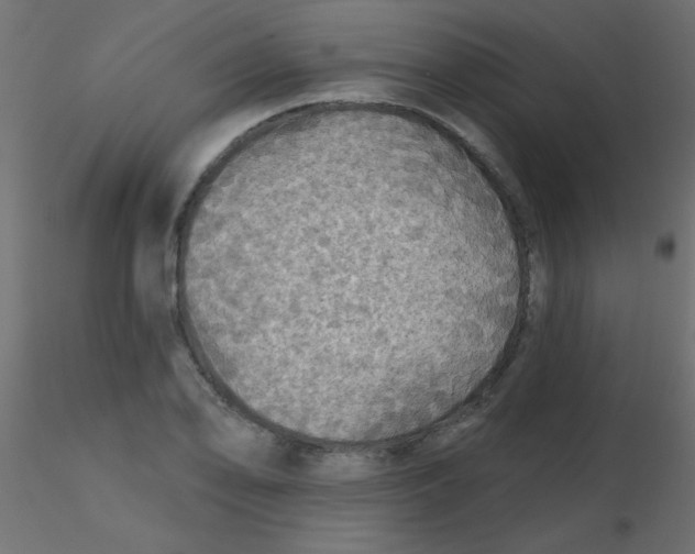 X0000116591078200912312031