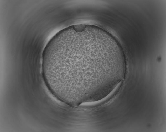 X0000116591079200912312031