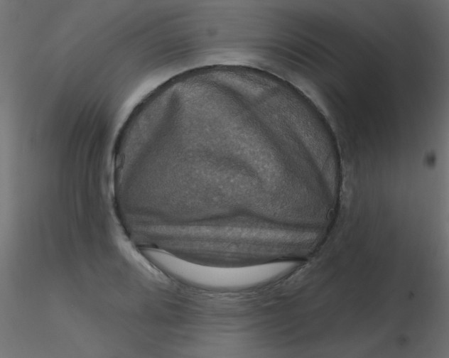 X0000116591080200912312031