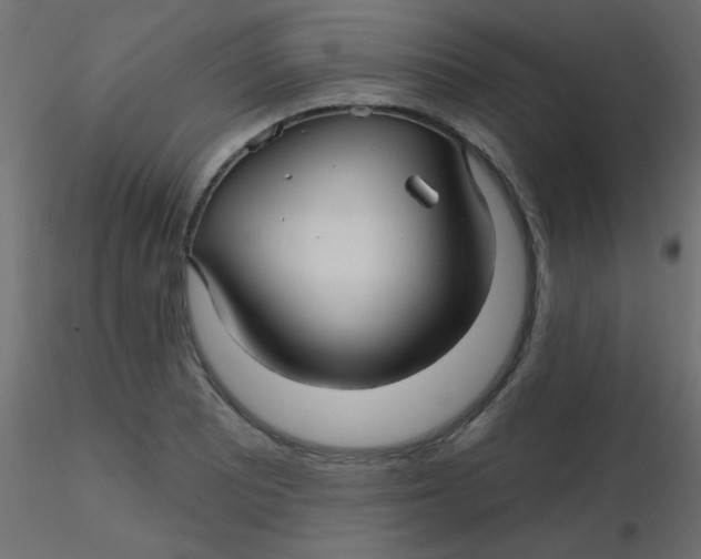 X0000116591081200912312031