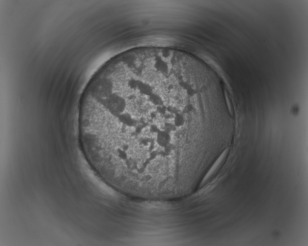 X0000116591083200912312031