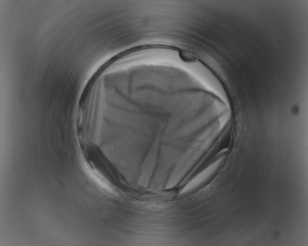 X0000116591084200912312031