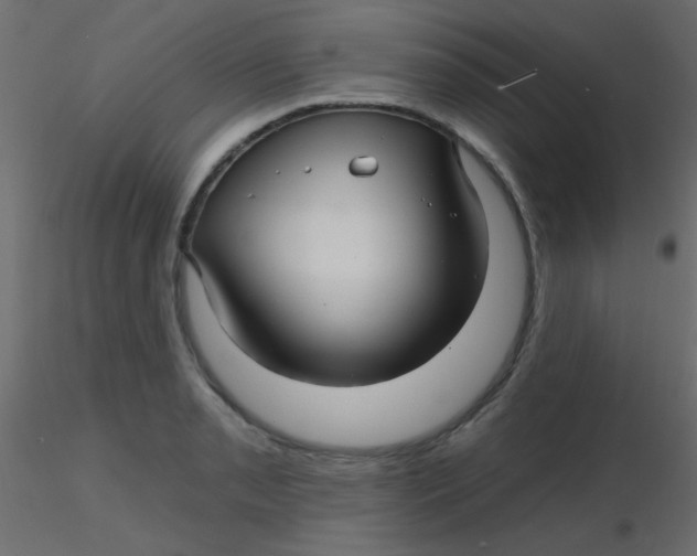 X0000116591085200912312031