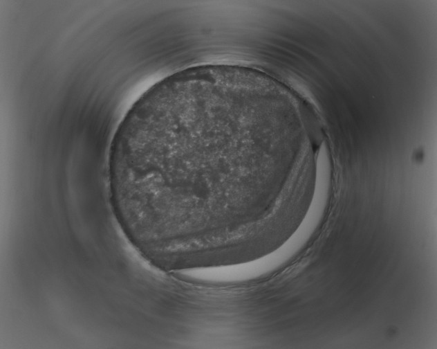 X0000116591087200912312031