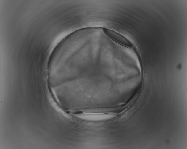 X0000116591088200912312031