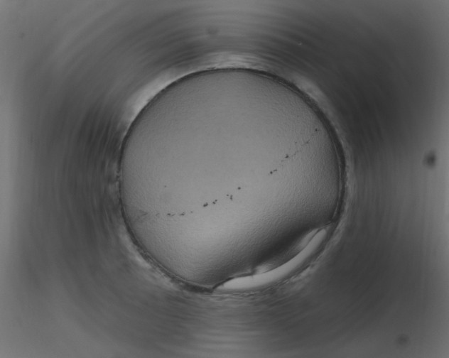 X0000116591089200912312031