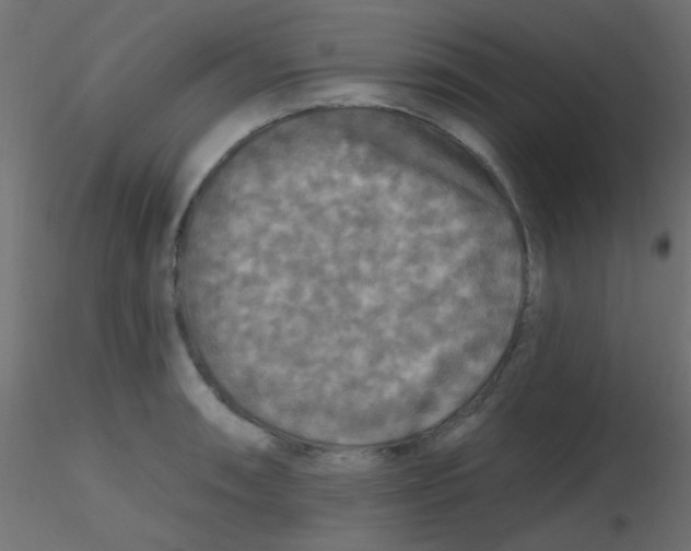 X0000116591090200912312031