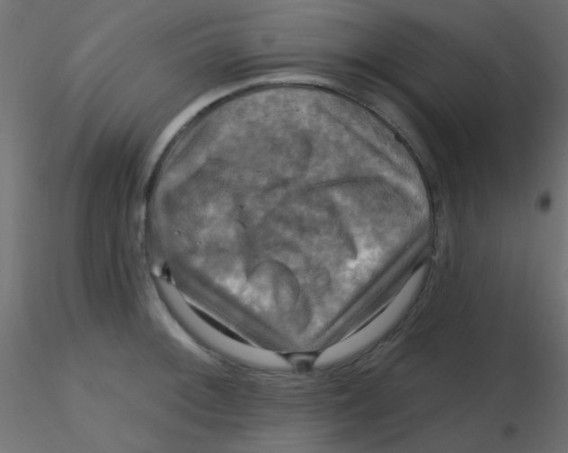 X0000116591092200912312031