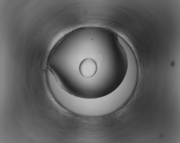 X0000116591093200912312031