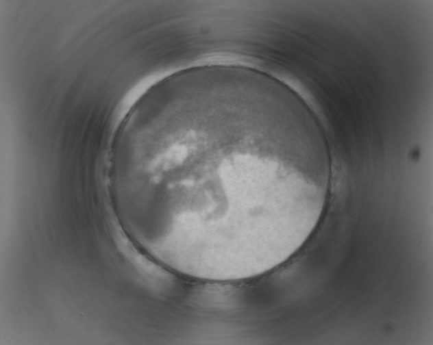 X0000116591094200912312031