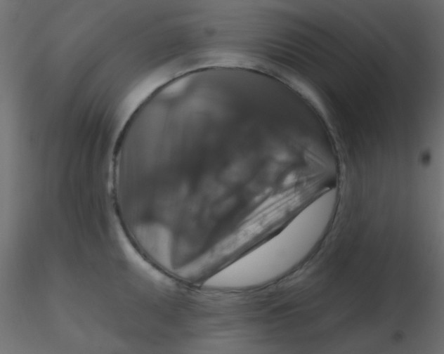 X0000116591095200912312031