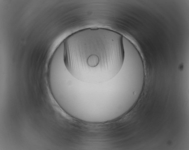 X0000116591096200912312031