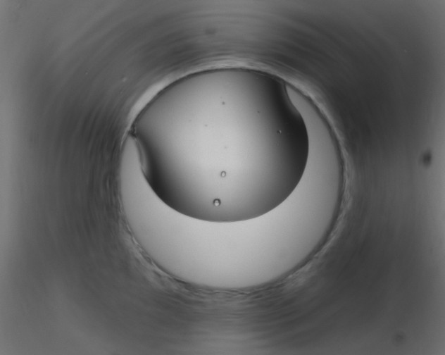 X0000116591097200912312031