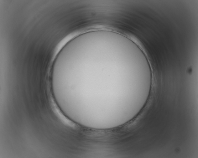 X0000116591098200912312031