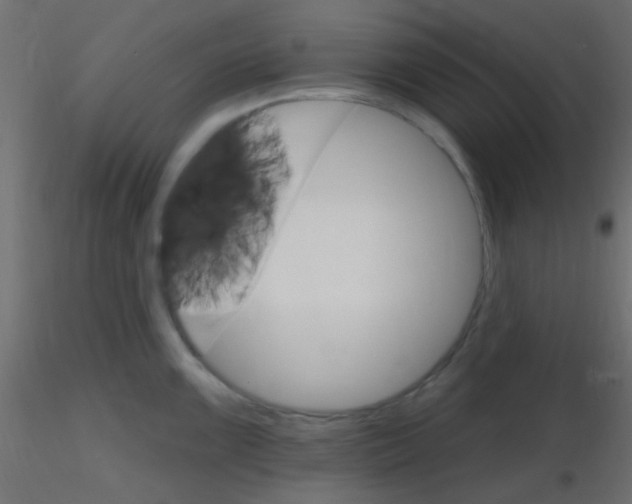 X0000116591099200912312031