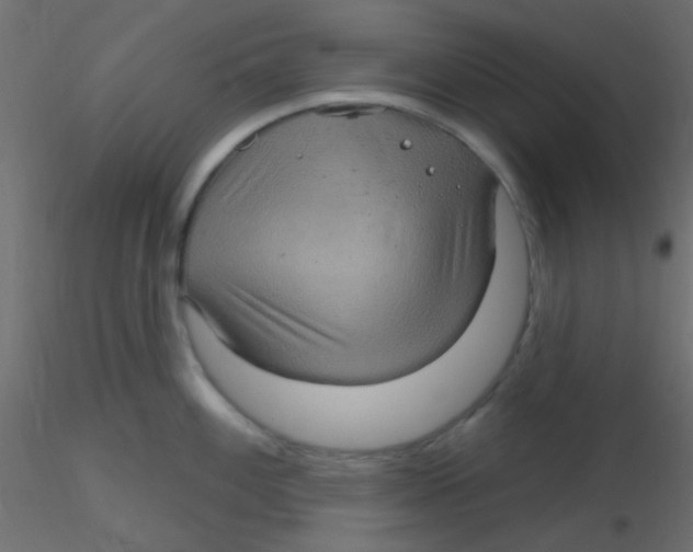 X0000116591100200912312031