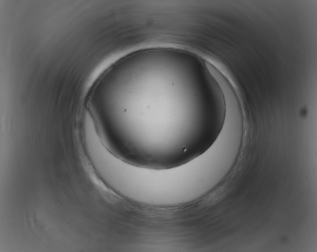 X0000116591101200912312031