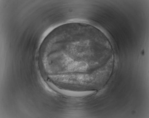 X0000116591102200912312031