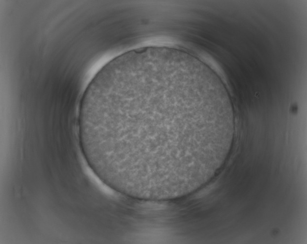 X0000116591103200912312031