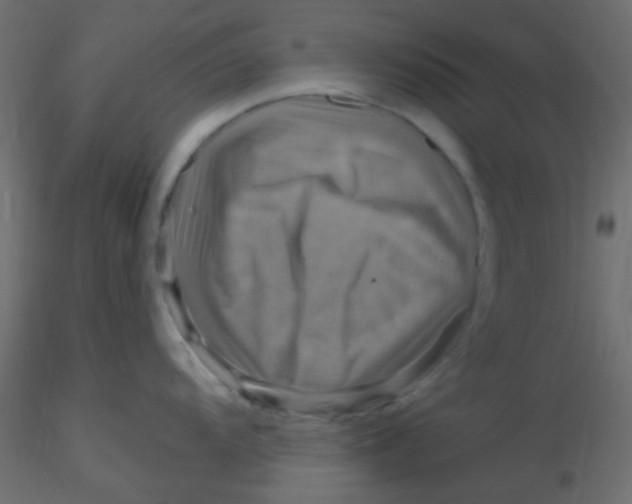 X0000116591104200912312031