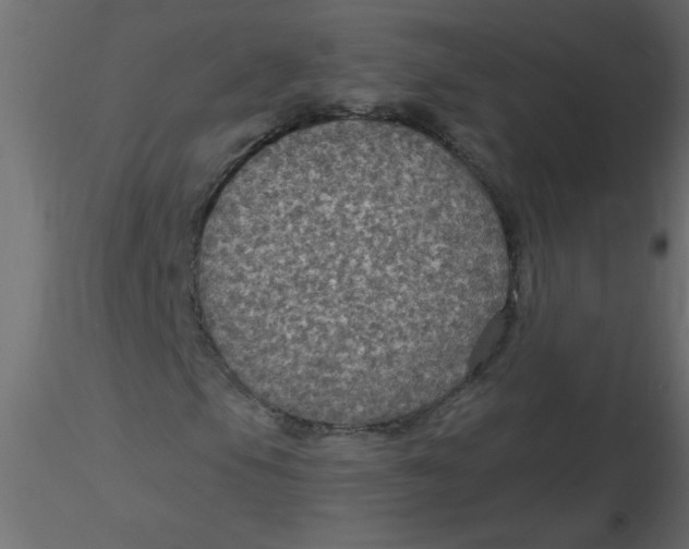 X0000116591105200912312030