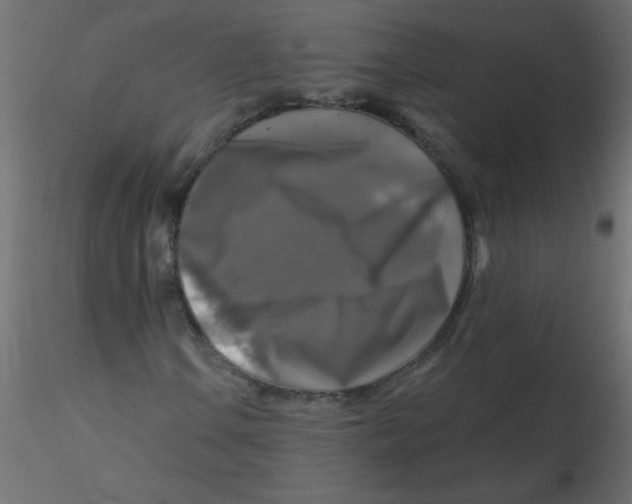 X0000116591106200912312030