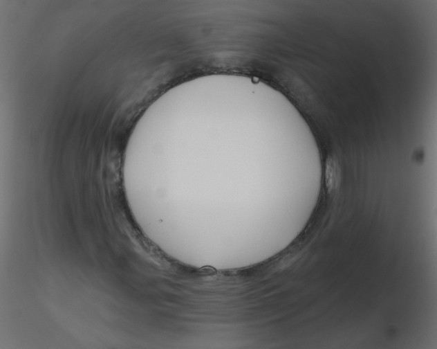 X0000116591107200912312030