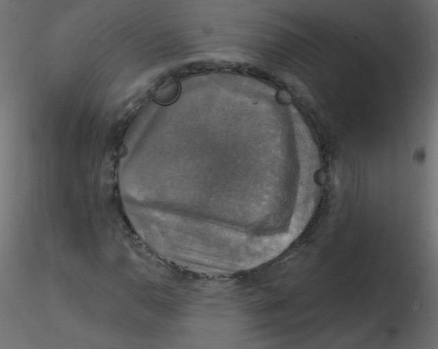 X0000116591110200912312030