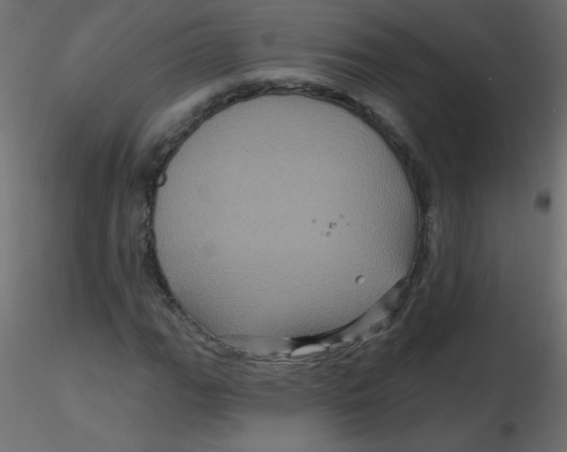 X0000116591111200912312030