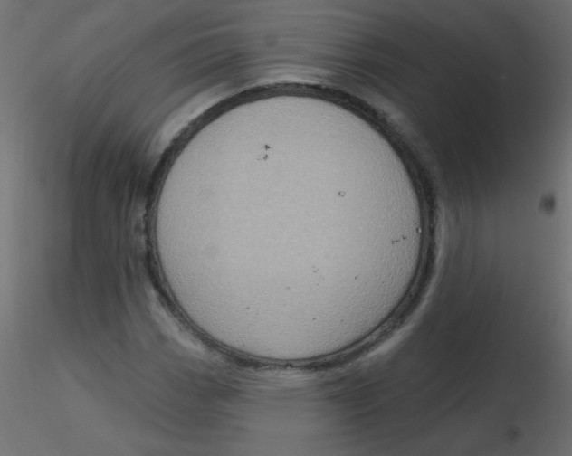 X0000116591113200912312030