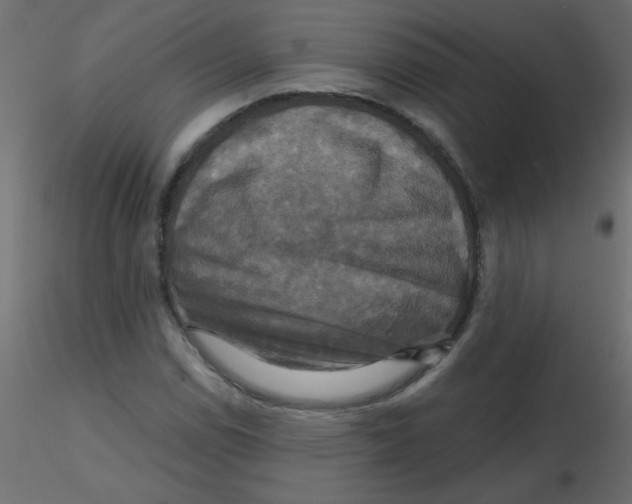 X0000116591114200912312030