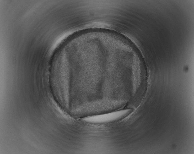 X0000116591115200912312030