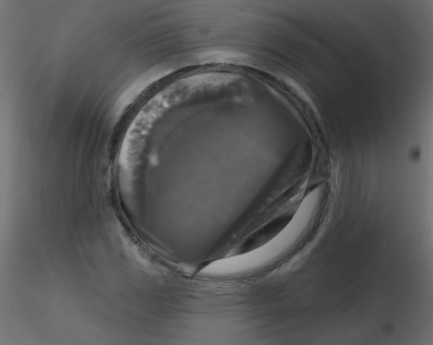 X0000116591117200912312030