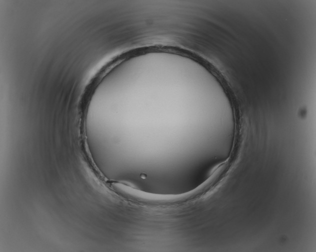 X0000116591118200912312030