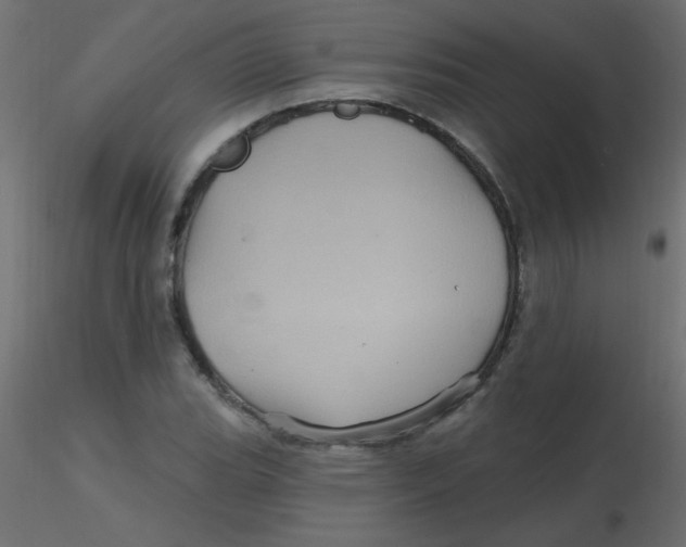 X0000116591119200912312030