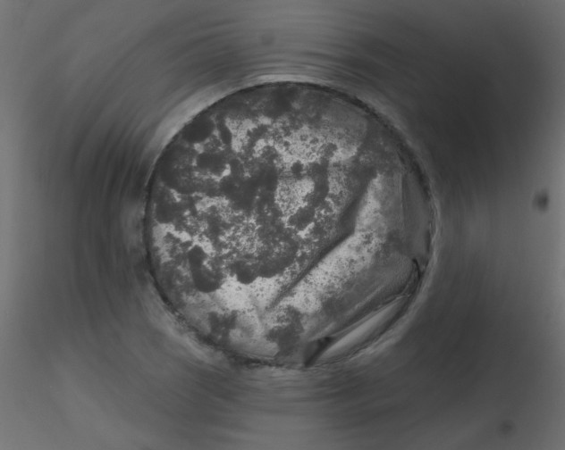 X0000116591121200912312030