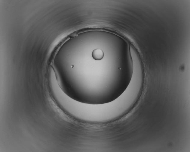 X0000116591122200912312030