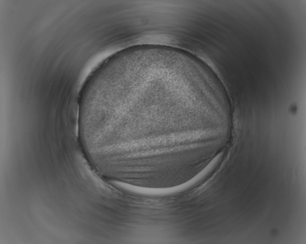 X0000116591123200912312030