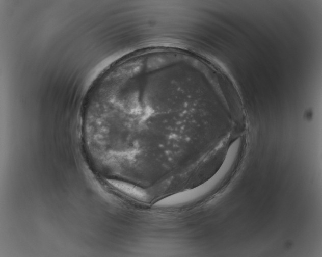 X0000116591125200912312030