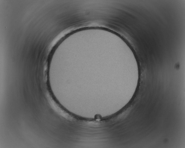 X0000116591126200912312030